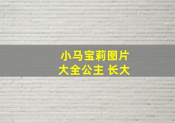 小马宝莉图片大全公主 长大